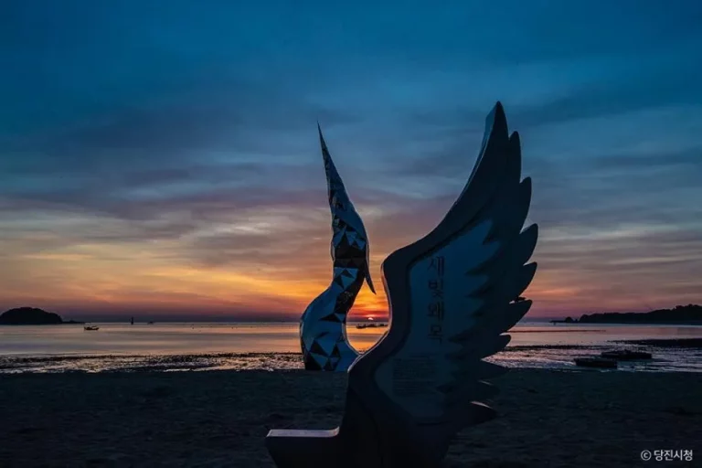 산업도시 당진에서, 서해의 여백까지 — 무한집합 당진고대점 오픈