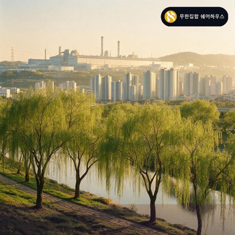 충남 천안, 직산읍에 무한집합 두 번째 지점이 생겼습니다 (천안직산2호점)